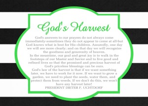 August 2014 HT Handout God’s Harvest